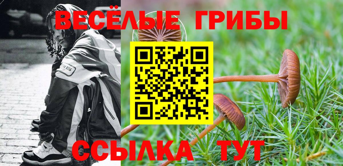 Галлюциногенные грибы Psilocybe Волгоград
