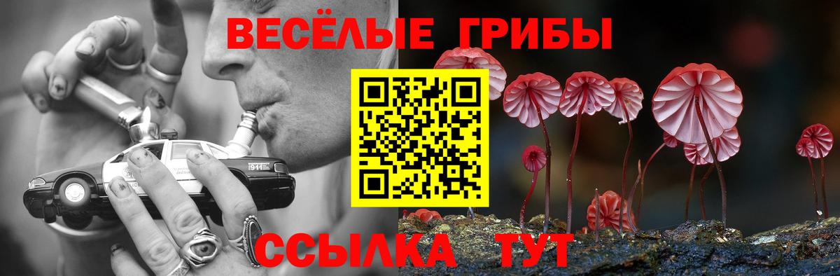 Волгоград  Псилоцибиновые грибы Magic Shrooms  наркота  Вход с VPN 